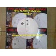 fire alarm individual 