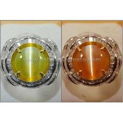 elegant hot alexandrite cat' s eye chrysoberyl + rax 062