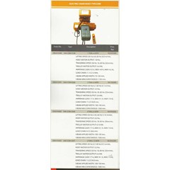 daesan electric chain hoist type dsm