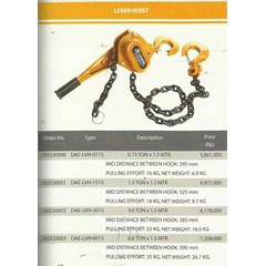 daesan level hoist