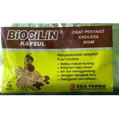 obat cholera ayam biocilin
