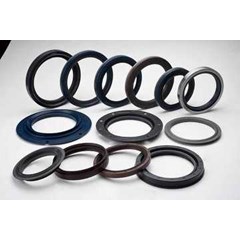 oil seal