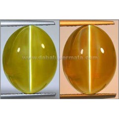 top alexandrite cat' s eye chrysoberyl sharp ray sri lanka - bax 028