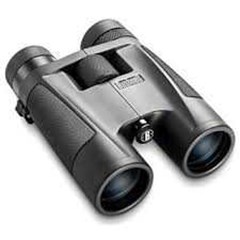 binocular bushnell powerview 8-16x 40mm