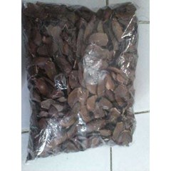 biji mahony ~ mahoni honduras, mahoni~ mahony~ mahagoni~ biji mahoni ~ mahoni honduras ~ honduras mahogany ~ swietenia macrophylla ~ swietenia mahagoni ( l.) jacq. * * sms= + 6281901389117 * * sms= + 6285876389979 * * sms= + 6281326220589 * * nurida4