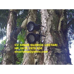 lampu taman led 3 watt skylux