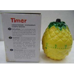 timer model nanas