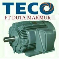 teco electric 1phase single phase motor