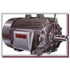 tatung electric motor 2 pole