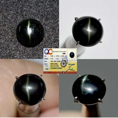 kc7985 - cat eye
