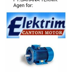 100 hp -4pole-1425 rpm-b3-3 ph-50 hz- elektrim cantoni electric motor for motor foot mounted b3, 50hz, 380/ 660, volt