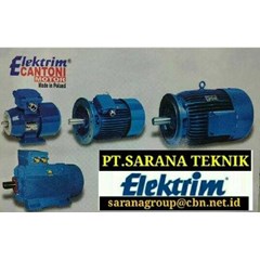 sell sell pt sarana : elektrim cantoni electric motor & emm elektrim motor for motor foot mounted b3, 50hz, 220/ 380, - 380/ 660 volt