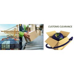 customs consultant