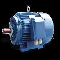 electrim cantoni electric motor 2 pole