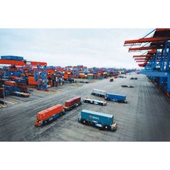 customs clearance