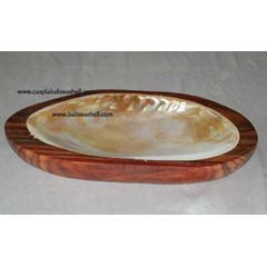 cb-shelldisc3/ asbak sono kerang jumbo