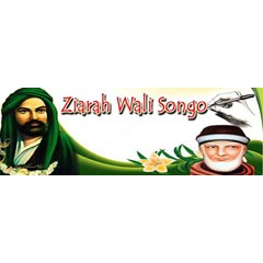 pilgrimage visit ( wali sembilan)