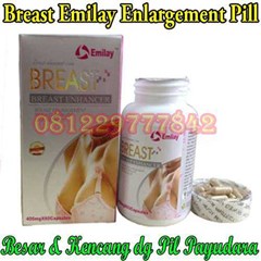 pil pembesar payudara alami breast emilay enlargement usa