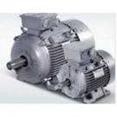 electric motor siemens