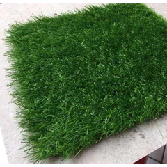rumput landscape / landskap actglobal lmd 30 ( usa)