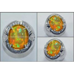 exclusive hot honey colour kalimaya. crystal mulus - op 040