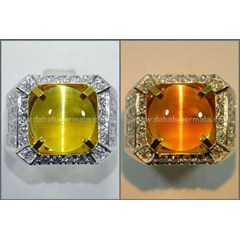 exclusive alexandrite cat' s eye change colour crystal. sri lanka - rax 070
