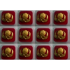 pin korpri