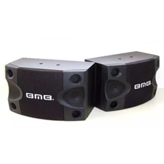 bmb cs 252 v