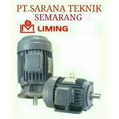 liming electric motor