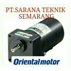 oriental gear motor