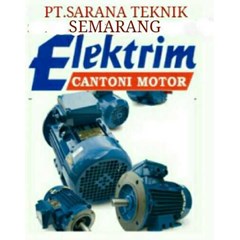 elektrim cantoni made in polandia electric motor