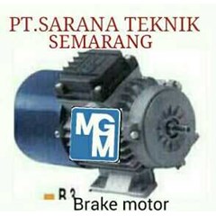 mgm brake motor