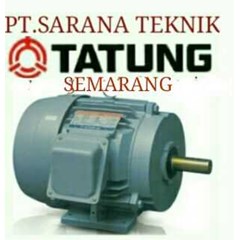 tatung brake motor