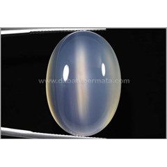 elegant cat' s eye cempaka reflesia - bch 024