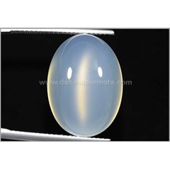 elegant cat' s eye cempaka reflesia - bch 023