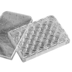 cell culture plate, 24 wells, lid cat. no. 3524