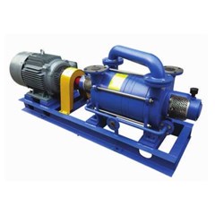 2sk liquid ring vacuum pump