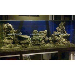 dekorasi aquarium 2.23 meter
