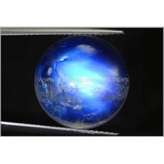 elegant bidury bulan air laut sri lanka - bms 048