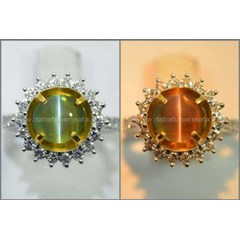 beautiful alexandrite cat' s eye chrysoberyl, change colour - rax 071