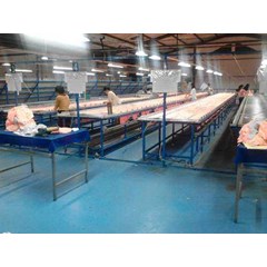 helper produksi