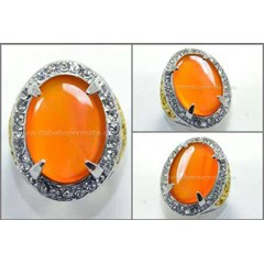 elegant golden yellow cat' s eye reflessia bengkulu - rch 040
