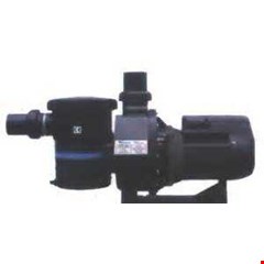 pompa kolam renang seri sb grundfos terbaik 