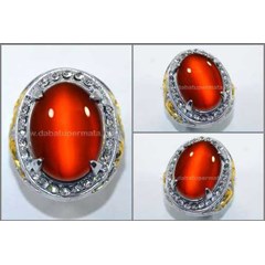 elegant golden yellow cat' s eye reflesia bengkulu - rls 001