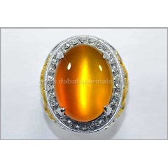 elegant golden yellow cat' s eye reflesia bengkulu - rls 002
