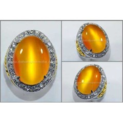 elegant golden yellow cat' s eye reflesia bengkulu - rls 004
