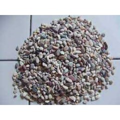 batu koral mix cream di pekanbaru