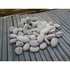 batu flores kupang pekanbaru