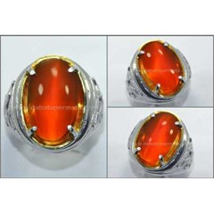 elegant crystal reflesia top - rls 012