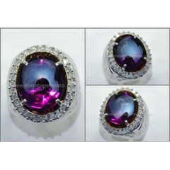 elegant hot kecubung ungu terong kalimantan - at 057